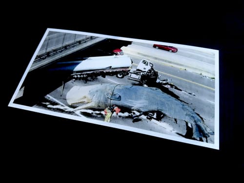 Customer photo review of 10x15 Giclee Fine Art Prints