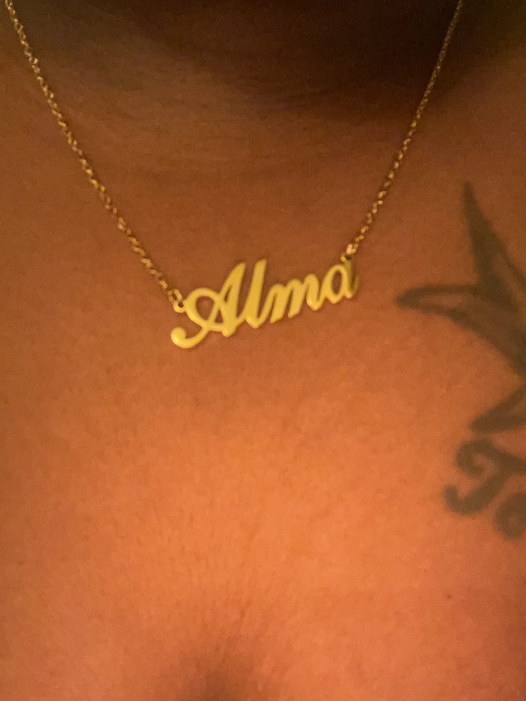Customer photo review of LUX Name Necklace
