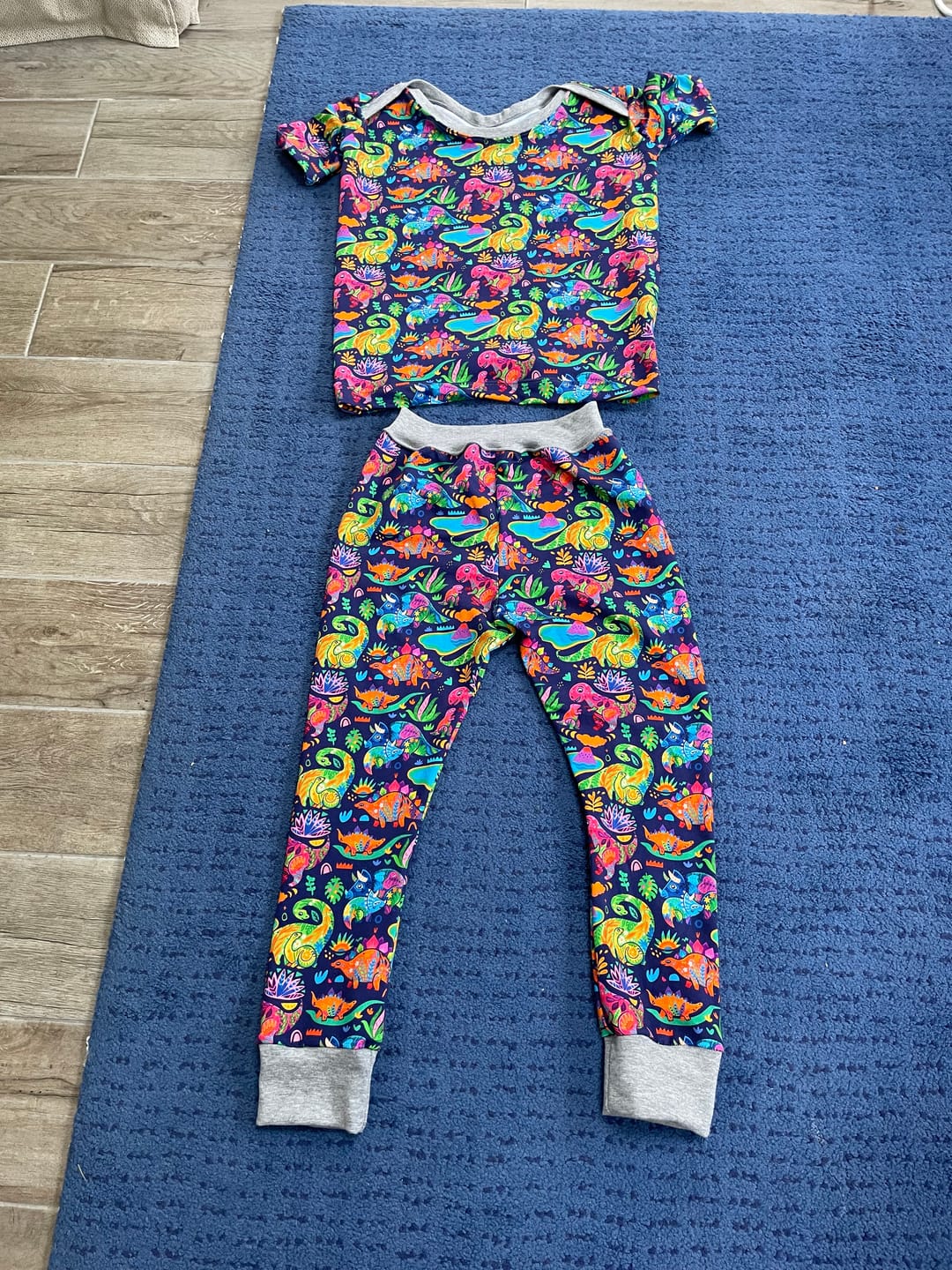 Customer photo review of Multicoloured Dinosaurs on Navy French Terry Fabric