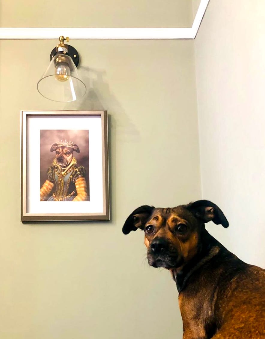 Customer photo review of The Pearl Princess: Custom Pet Portrait