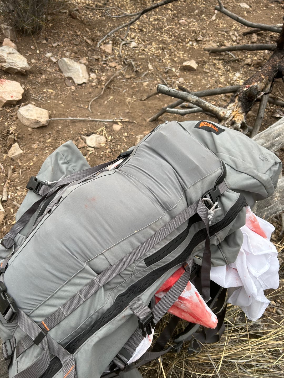 Customer photo review of IA Hip Belt