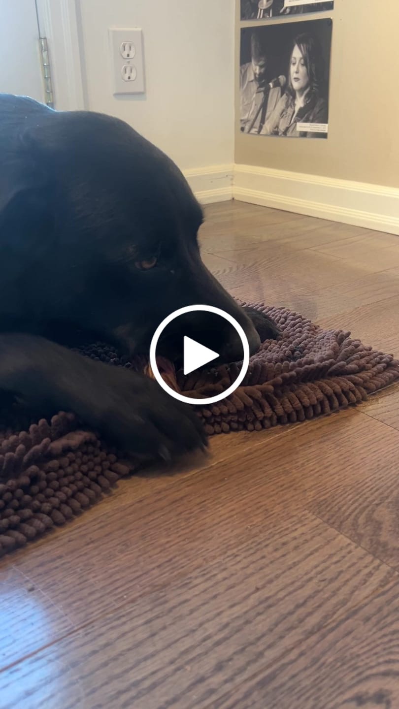 Customer video review of 12 Inch Braided Jerky Stick