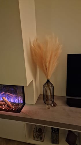 Customer photo review of Pampas 110cm (3 stengels)- Crème