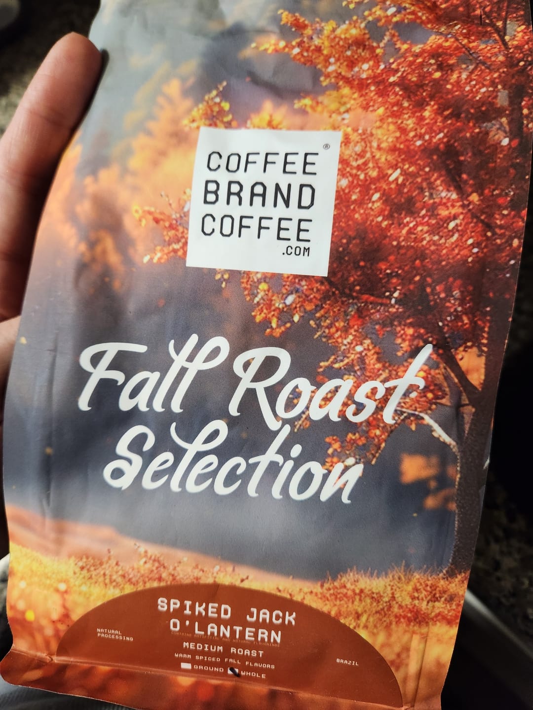 Customer photo review of Spiked Jack O'Lantern (Pre order 10/8/24)