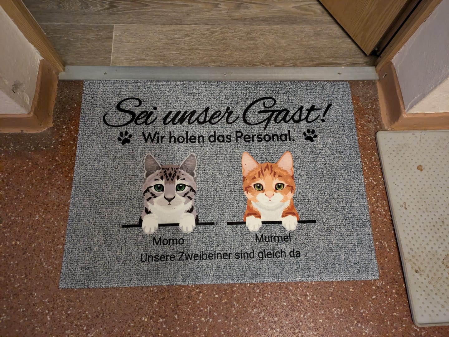 Customer photo review of Katzen holen ihr Personal - Individuelle Fußmatte