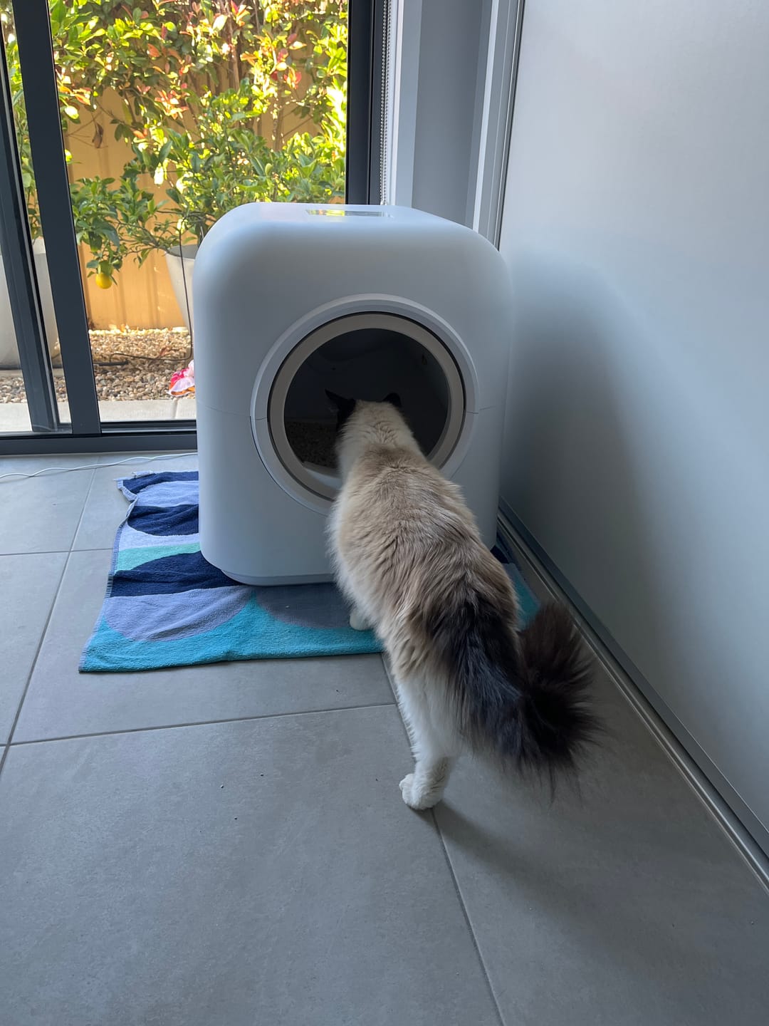 Customer photo review of Pawz Smart Cat Litter Box Automatic Self Cleaning with App Remote Control