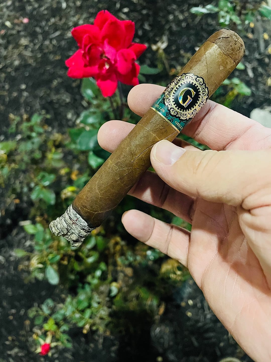 Customer photo review of Gellis Family 'Absolutos'