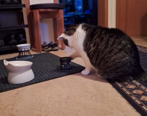 Customer photo review of Gelenk Gummies