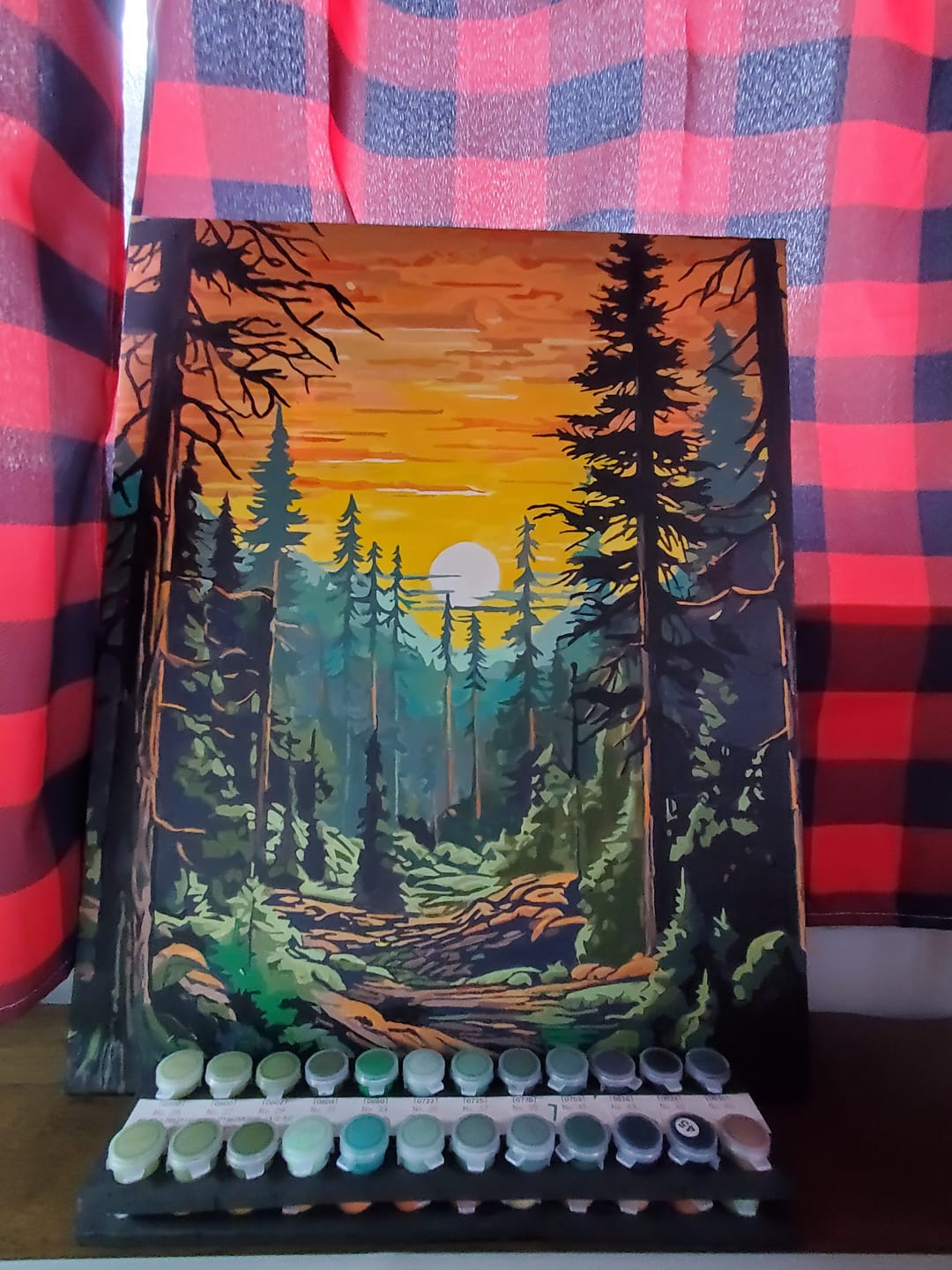 Customer photo review of Tall Trees Forest