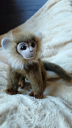 Customer photo review of Hansa Creation Leaf Monkey 18cm