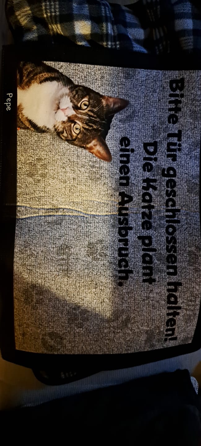 Customer photo review of Katzen planen einen Ausbruch - Individuelle Fußmatte