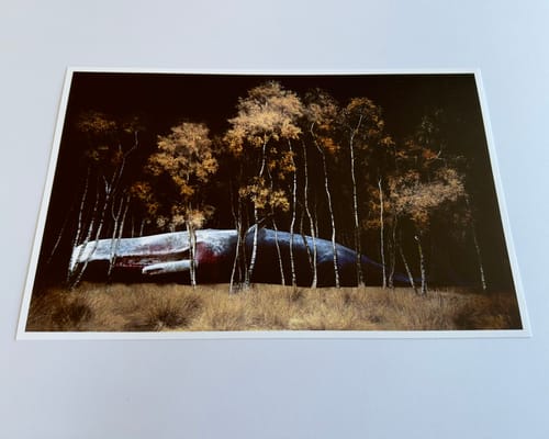 Customer photo review of 10x16 Giclee Fine Art Prints