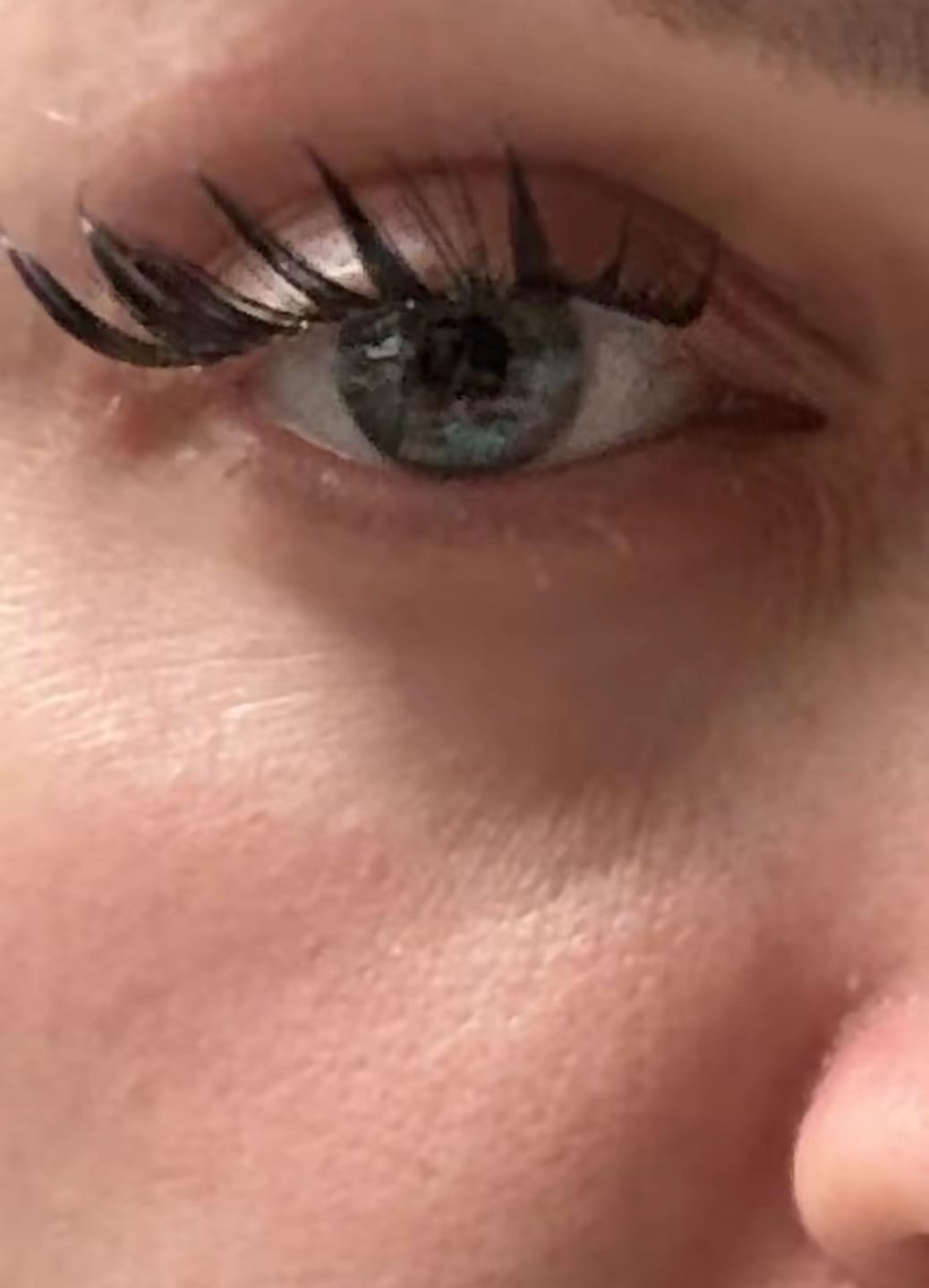 Customer photo review of Velvet Wing