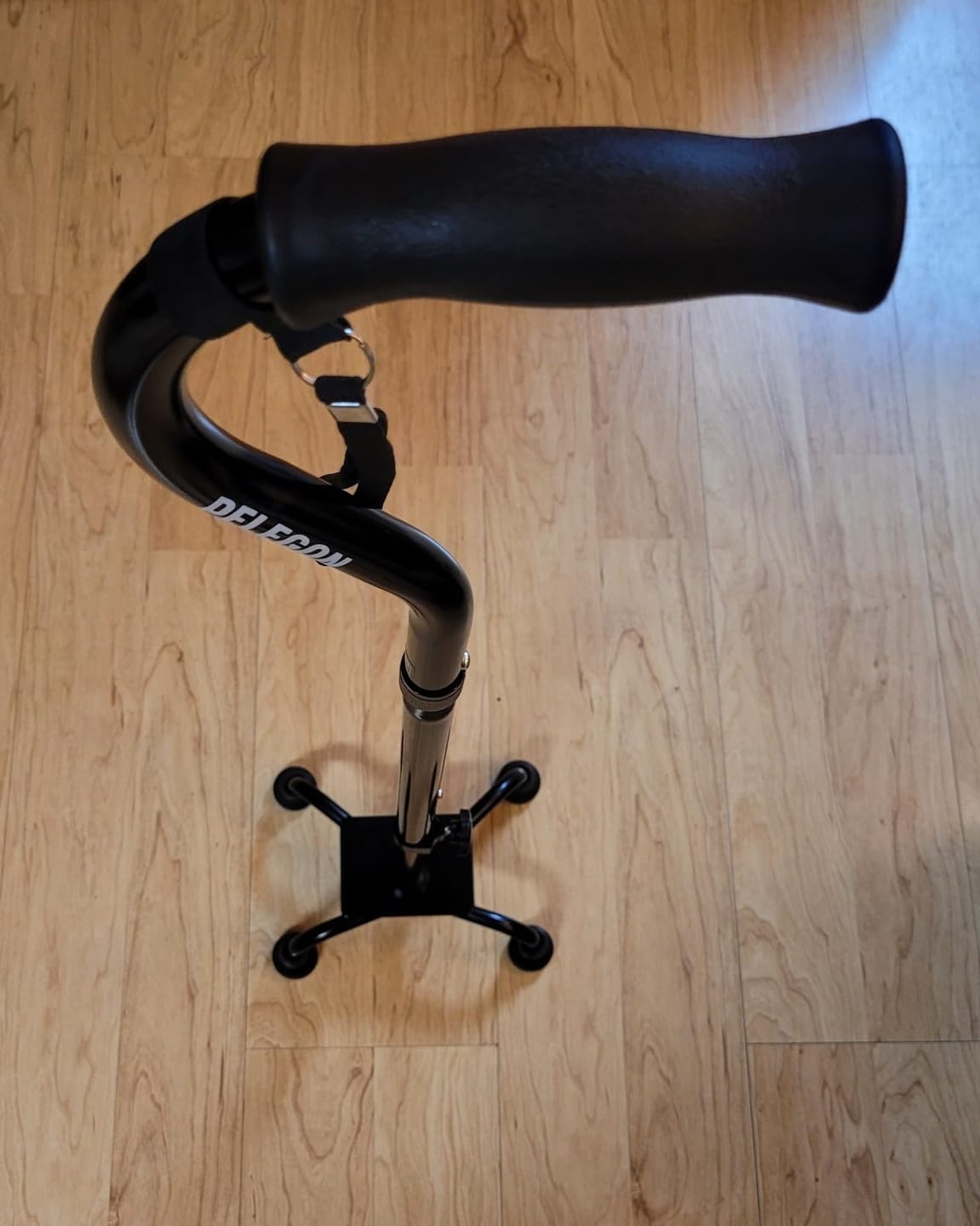 Customer photo review of Quad Cane (300 lb)