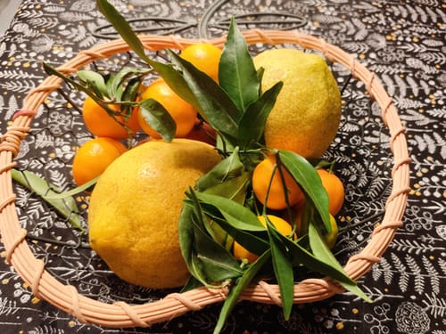 Geneviève C. review of Gagnez un Corsica Food Tour image 1 out of 2