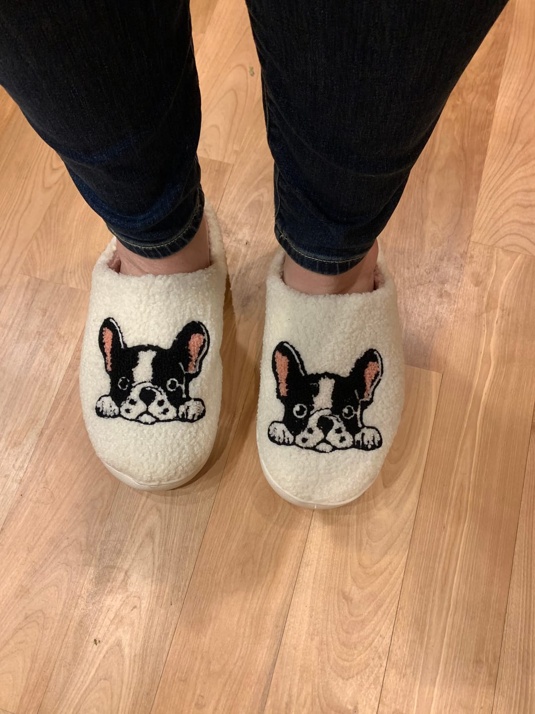 Customer photo review of Boston Terrier Slippers