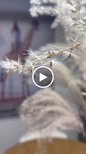 Customer video review of Paveikslas "The Truman Show"