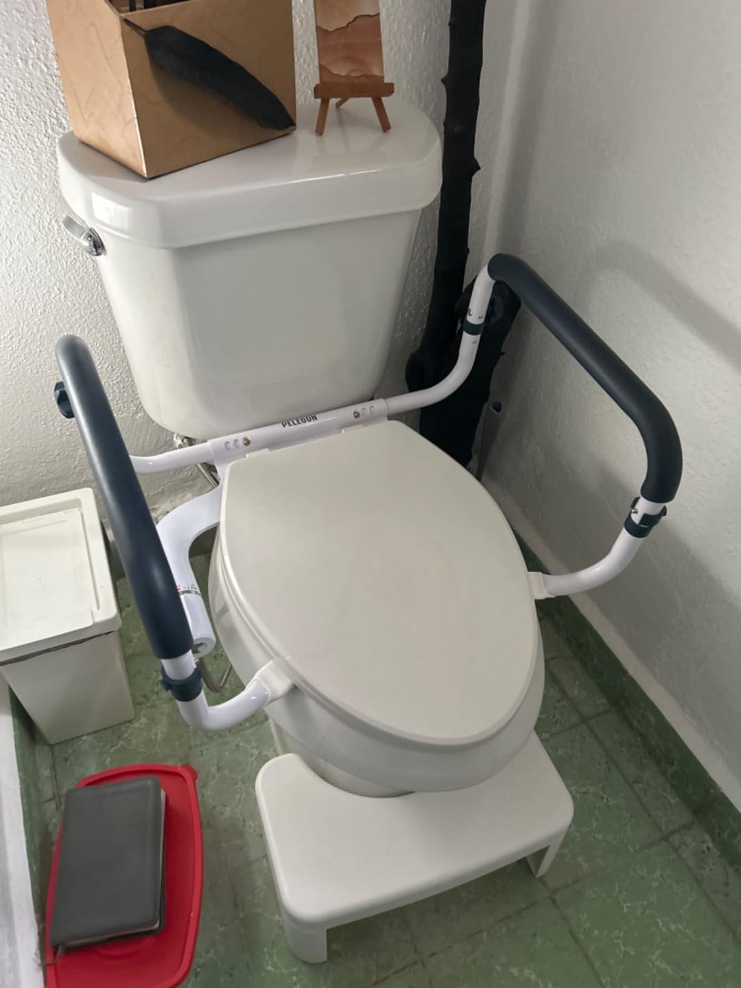 Customer photo review of Toilet Seat with Handles (250lb)