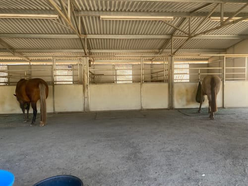 Customer photo review of Hay Chix® Half Bale Net