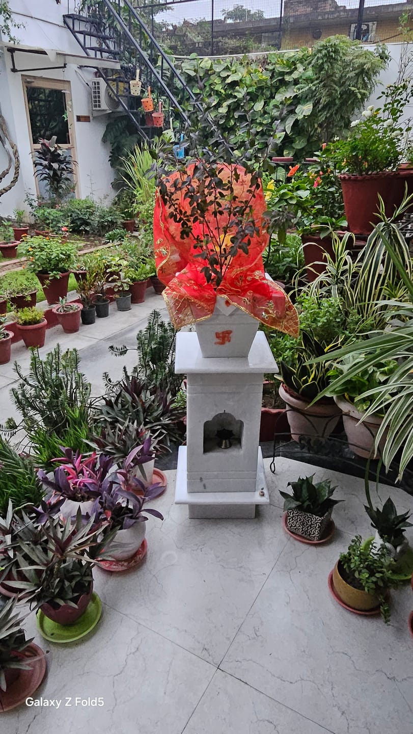 Customer photo review of Marble Tulsi Pot, White Marble - Handicraft Bazaar