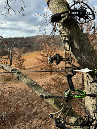 Customer photo review of Beast Broadheads