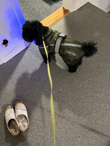 Customer photo review of Active Canis - 2-i-1 Hundejakke, khaki