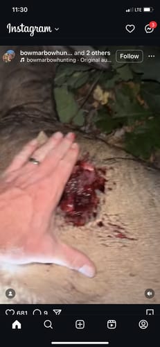 Customer photo review of Beast Broadheads