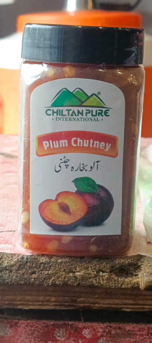 Customer photo review of Plum Aloo Bukhara Chutney – A Burst of Spicy & Sweet Plums in Every Bite!