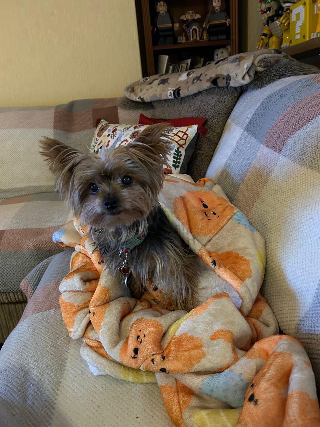 Customer photo review of Fluff Hugs - Adults