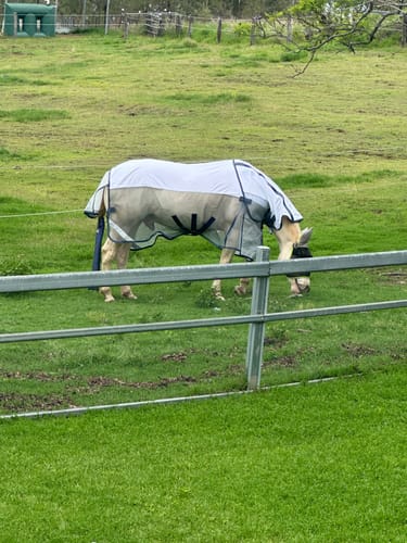 Customer photo review of LE Breeze Summer Sheet with Fieldsafe Front