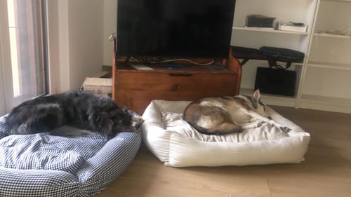 Customer photo review of Divanetto Cotone Vichy Navy