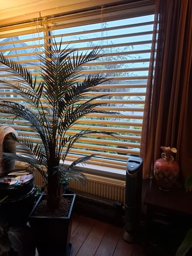 Customer photo review of Kunstpalm 150cm