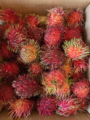 Customer photo review of Rambutan