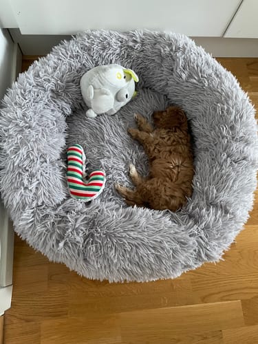 Customer photo review of CalmBed - Motverkar stress & hjälper mot ångest