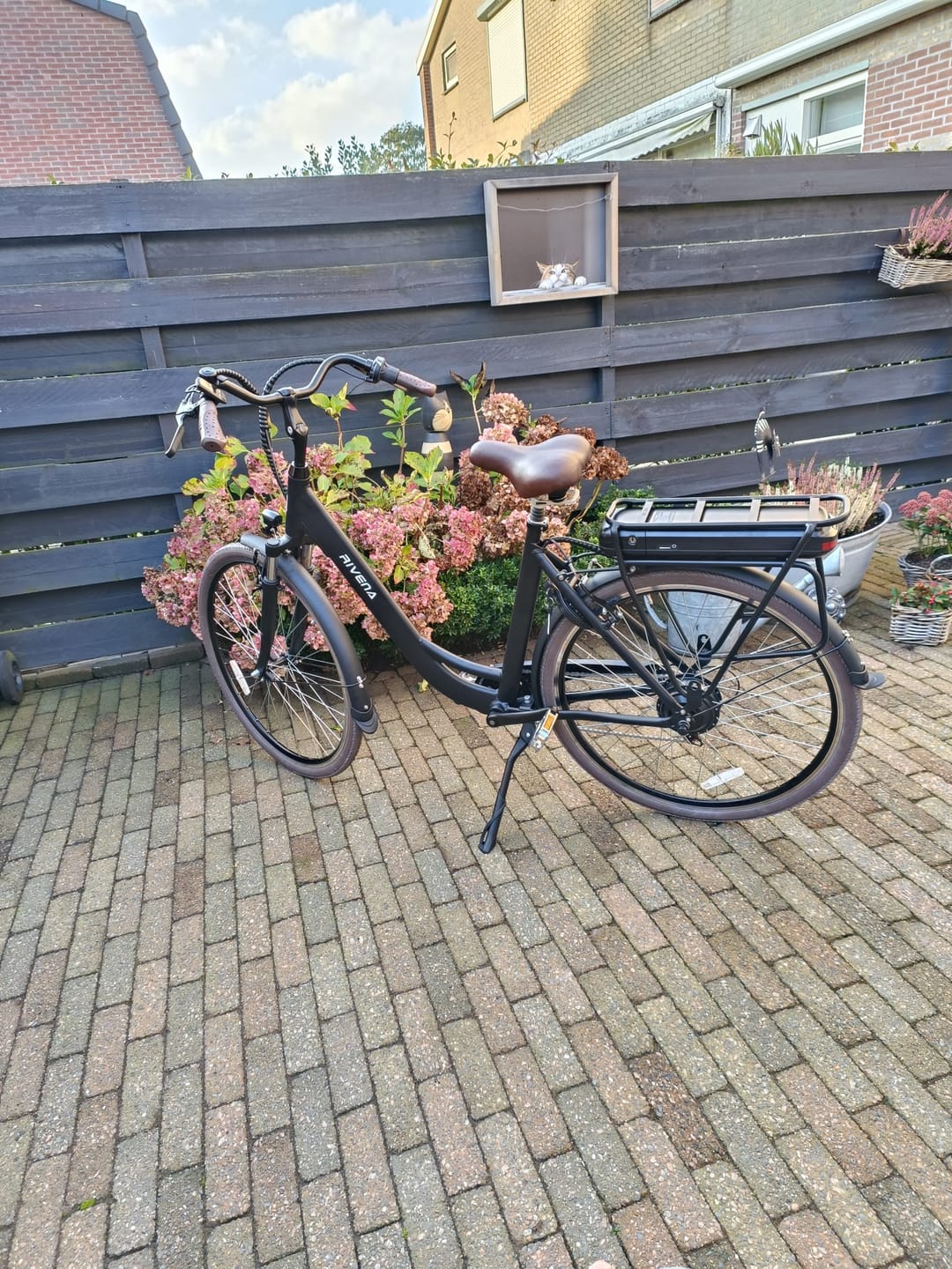 Customer photo review of Premium D7