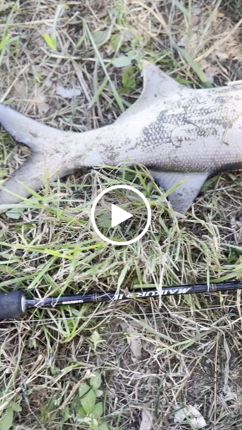 Customer video review of DEATH SHAD