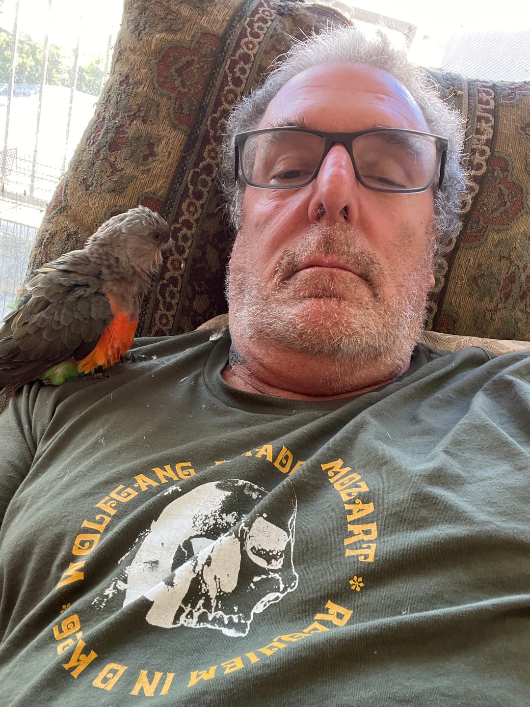 Customer photo review of Mozart: Requiem T-Shirt