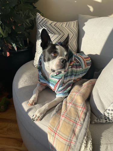 Customer photo review of Playa Poncho - Surprise Color