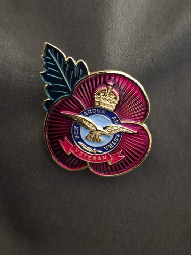 Tina review of Poppy Pin Badge RAF Veteran image 1 out of 1