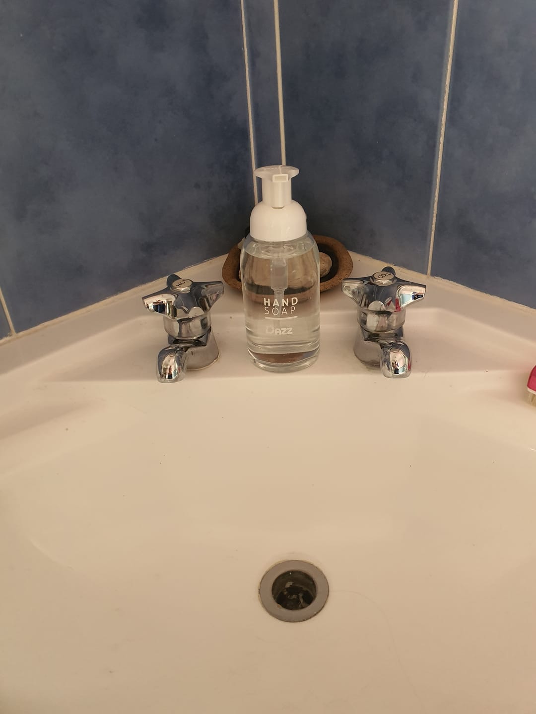 Customer photo review of Dazz Foaming Hand Soap Bundle