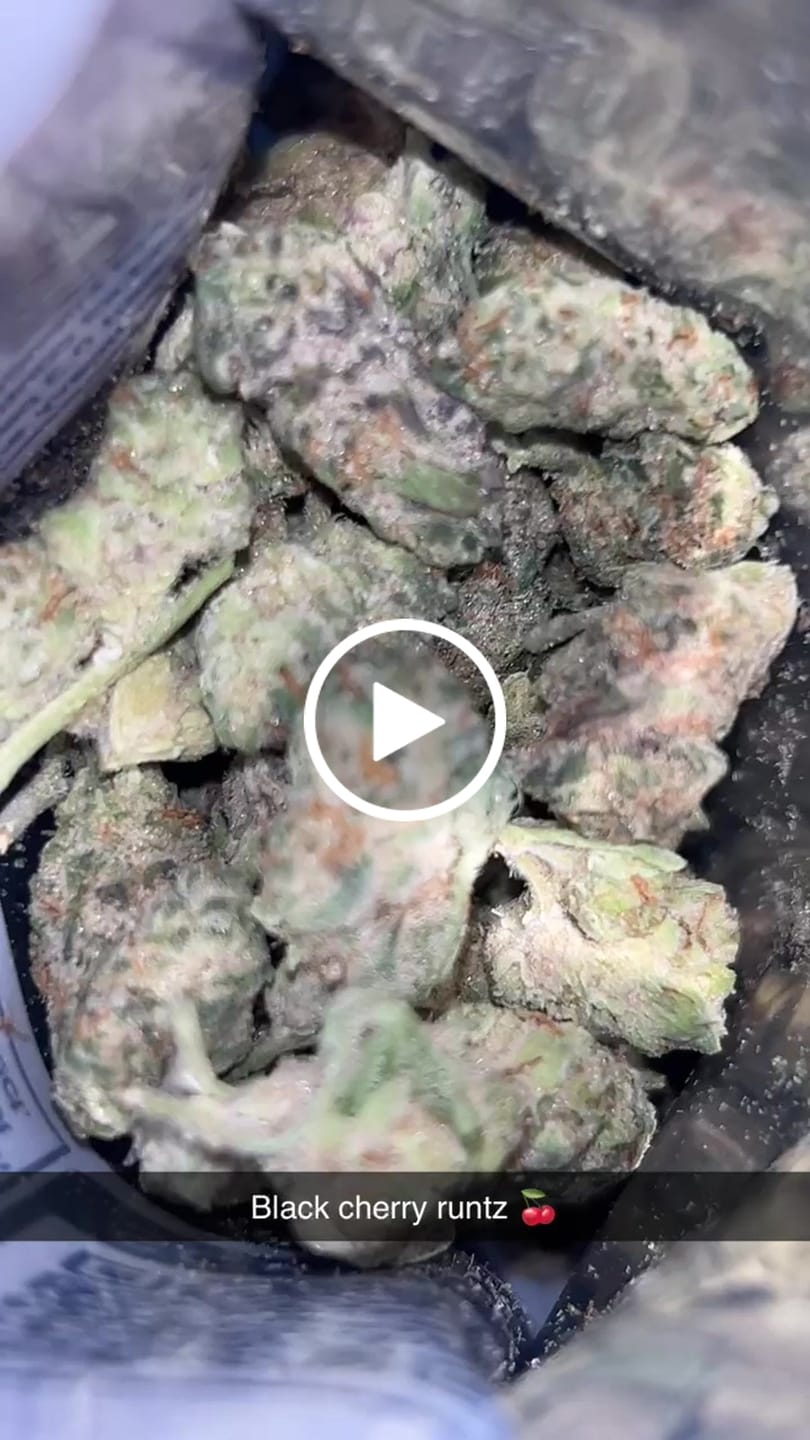 Customer video review of THCa Indoor Smalls