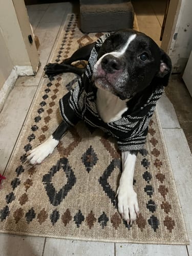 Customer photo review of Playa Poncho - Surprise Color