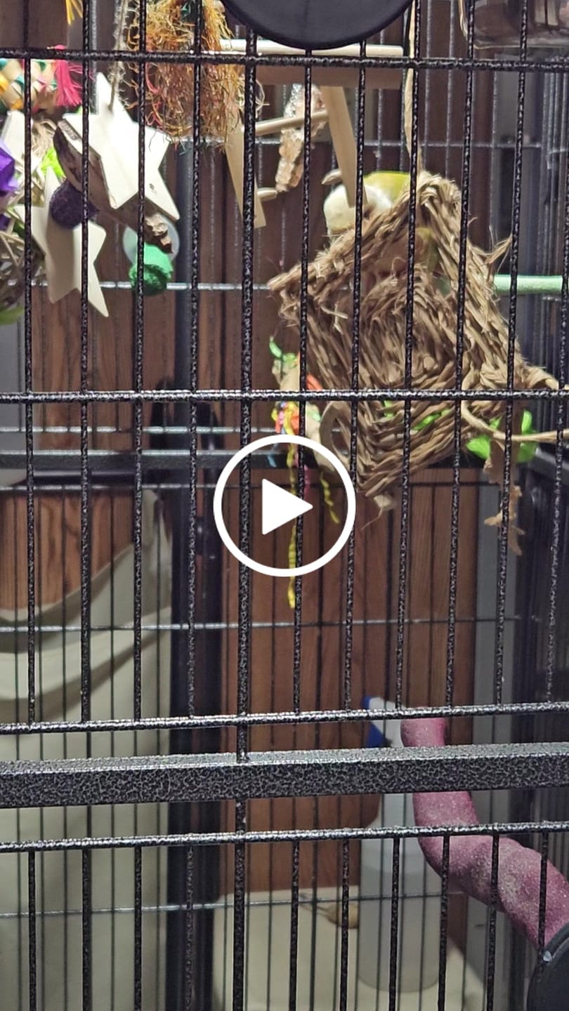 Customer video review of 6" Woven Grass Mat