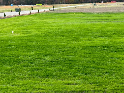 Customer photo review of GCI Turf Spreader Elite Grass Seed