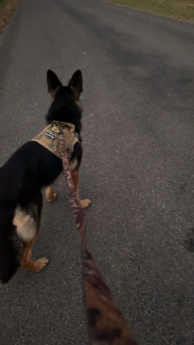 Customer photo review of 'Dad Says I'm Special' Hook & Loop Patch For Harness