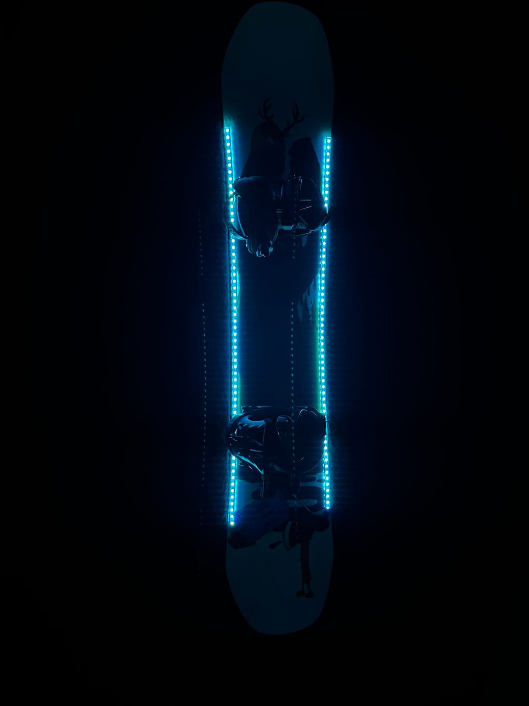 Customer photo review of LED SNOWBOARD SYSTEM