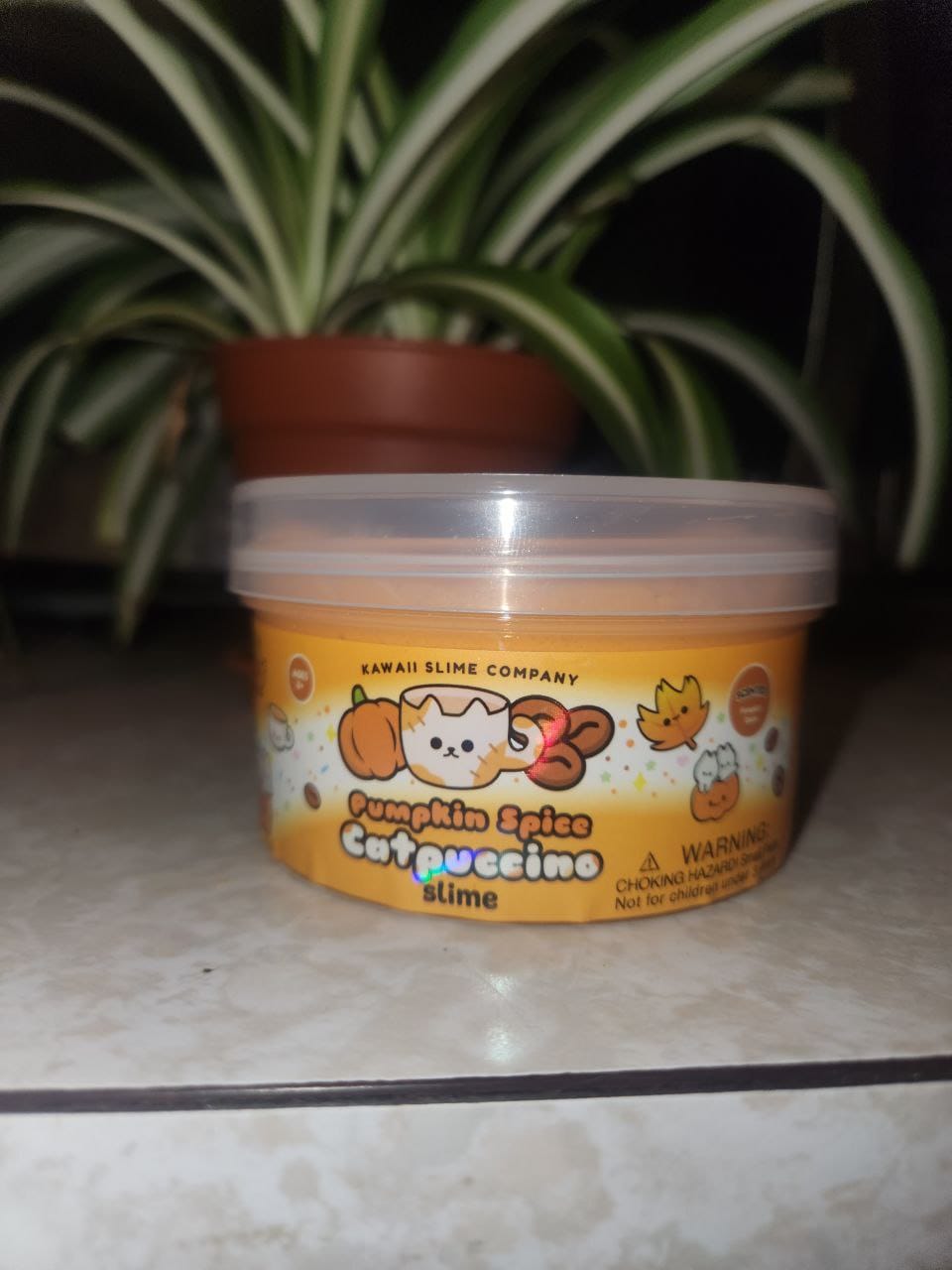 Customer photo review of Pumpkin Spice Catpuccino Butter Slime