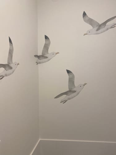 Customer photo review of Sea Birds Decal Set