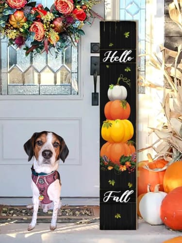 Customer photo review of Tough Trails™ Harness - Country Burgundy