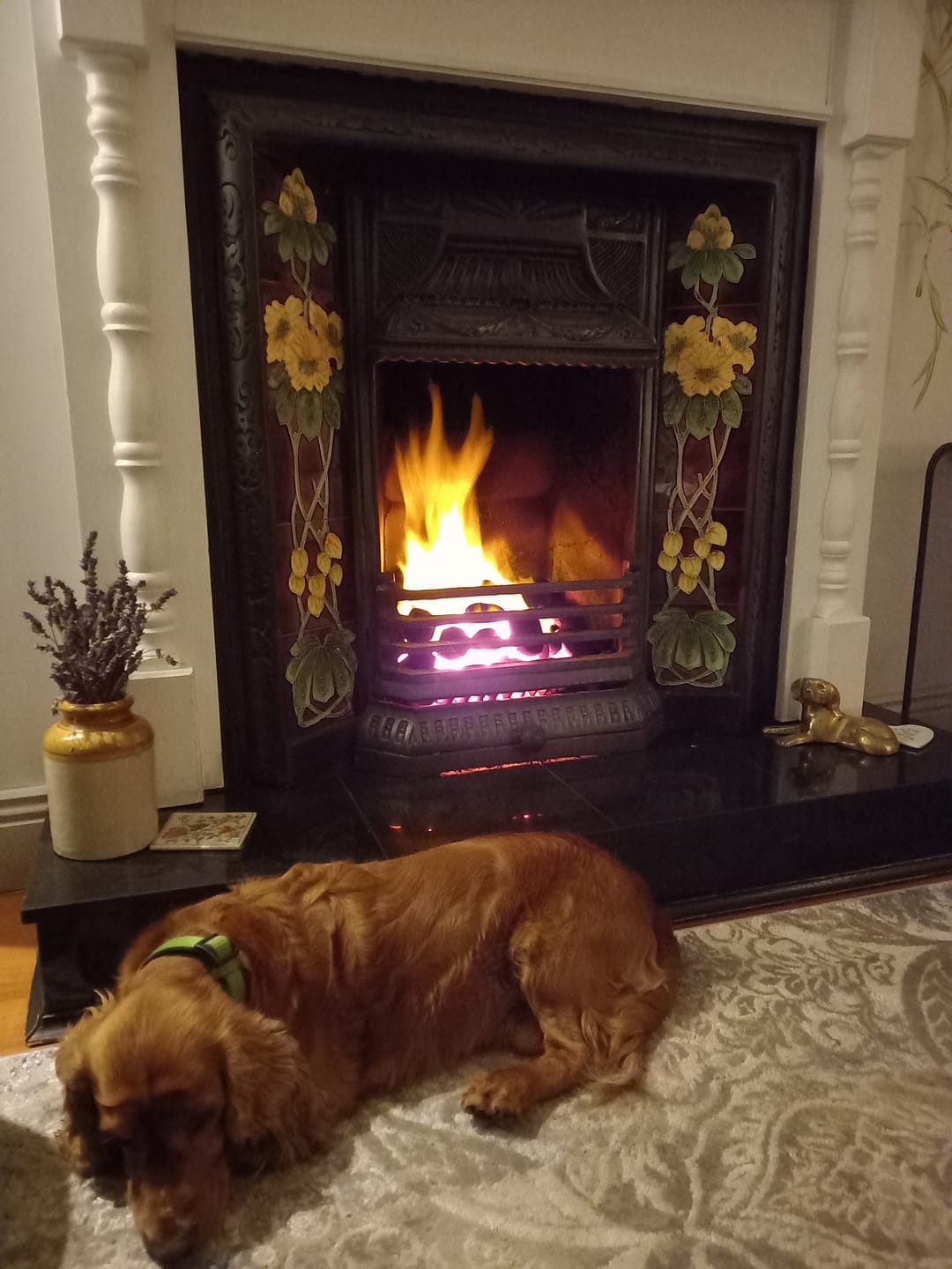 Customer photo review of Glo Therm Smokeless Coal (1 Tonne) 50 x 20kg Bags